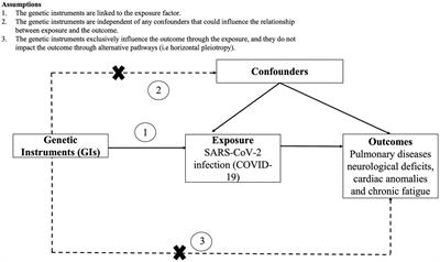 The impact of COVID-19 on pulmonary, neurological, and cardiac outcomes: evidence from a Mendelian randomization study